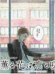 租书店的夏天 治愈日常小说封面